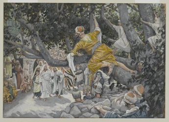 Zaccheus in the Sycamore Awaiting the Passage of Jesus, illustration from The Life of Our Lord Jesus Christ