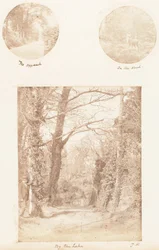 The Approach, In the Wood, By the Lake