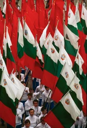 Procession of Bulgarian flags during National Day celebrations. Sofia, Bulgaria.
