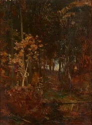 A Wooded Path