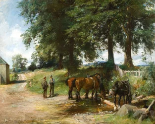 Watering Horses