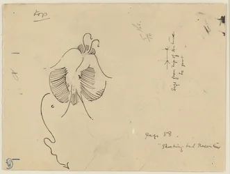Butterfly (front); Fragment of Butterfly (back)