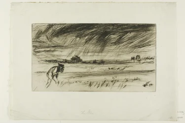 The Storm