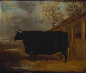A Black Bull Standing by a Cowshed, an Extensive Landscape Beyond