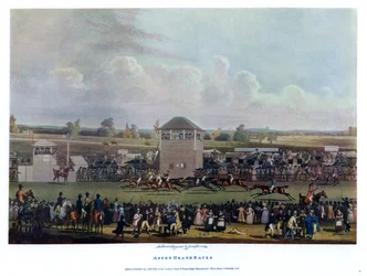 Ascot Heath Races