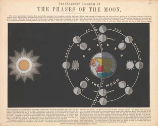 The phases of the moon