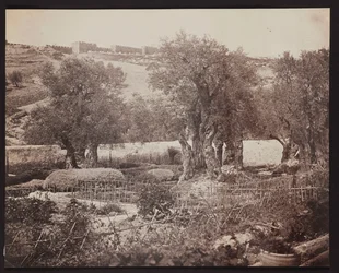 Gethsemane [Jerusalem. Mount of Olives]