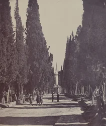 Scene in the Large Cemetery of Scutari