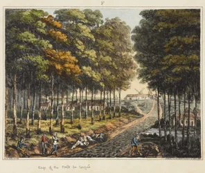 Edge of the Foret de Soignes, from 