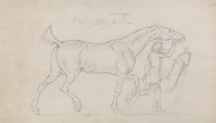 Man Leading a Trotting Stallion to Right