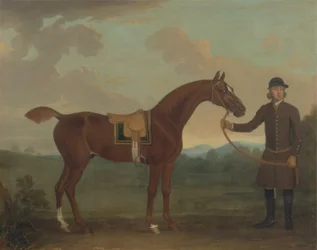 Old Fox Held by a Groom