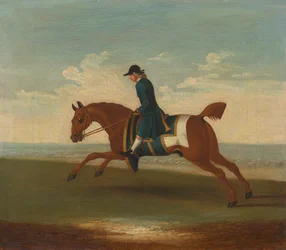 One of Four Portraits of Horses - a Chestnut Racehorse Exercised by a Trainer in a Blue Coat: Galloping to the Left, the Horse Wearing Blue Sweat Cover and Saddle-Cloth Edged with Gold