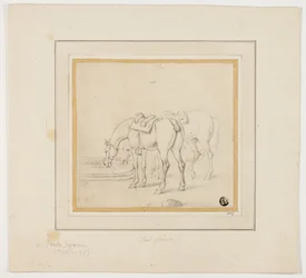 Two Horses Drinking