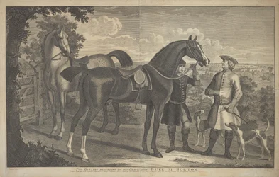 Two Hunters Belonging to His Grace the Duke of Bolton
