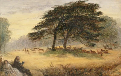 Lovers in Richmond Park