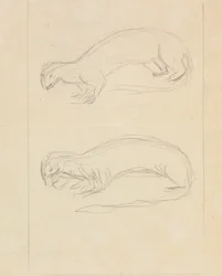 Two Weasels