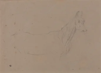 A Mare, Possibly a Study for "L