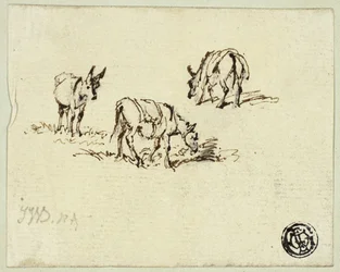 Horse and Mules Grazing