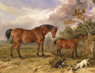 Portrait of Reformer, Blucher, Tory and Crib, the Property of Rowland Alston, Esq., M.P.