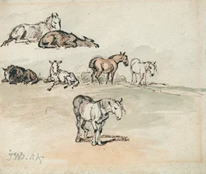 Studies of Horses