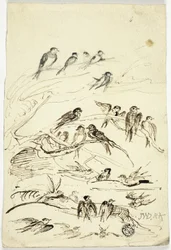 Swallows Before They Take Their Departure