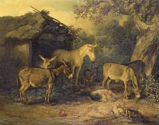 Unknown Image