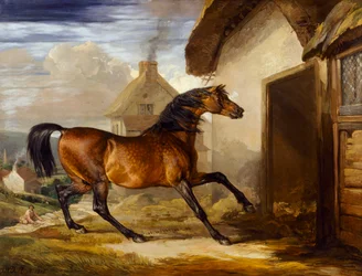 Walton