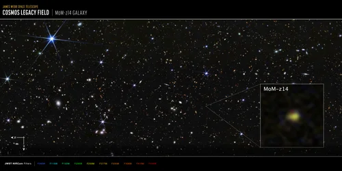 COSMOS Field MoM-z14 Galaxy