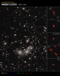 Galaxy Protocluster