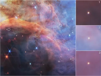 Low Mass Objects within the Flame Nebula (NIRCam Image)