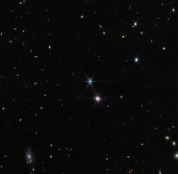 Neptune Wide Field
