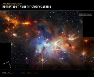 Protostar EC 53 in the Serpens Nebula