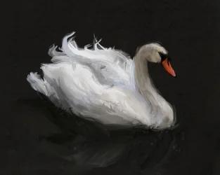 Graceful White Swan