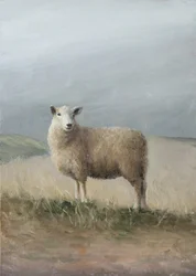 Pastoral Sheep