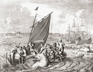 Walrus hunters in the 16th century (engraving)