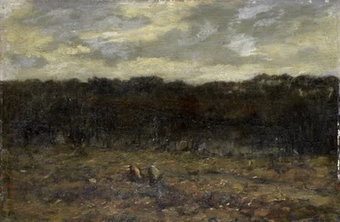 Little Fen on the Heath