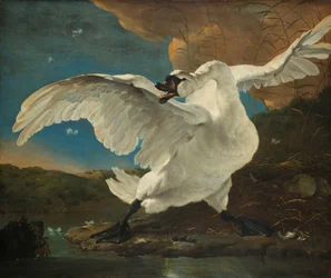 The Threatened Swan (Interpreted later as an Allegory on Johan de Witt)