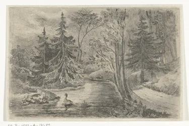 Forest Path by a Pond with Ducks