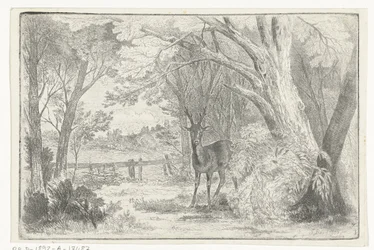 Park Landscape with Deer
