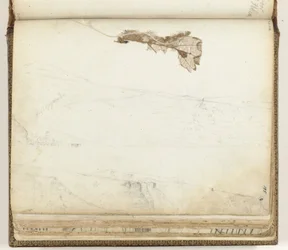 Bay of Saint Helena, Dried Leaf