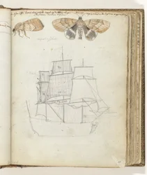 Butterfly and Ship