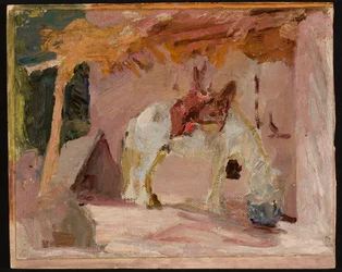 Horse. From a Journey to Turkestan