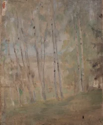 Mariino - Birches