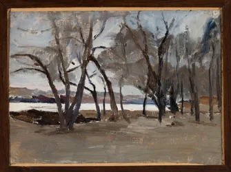 Winter Landscape - Park on Petrovsky Island