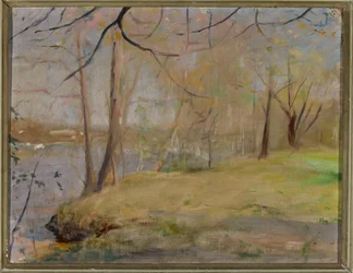 Study from Marijno