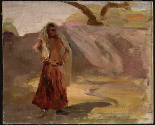 Udaipur - Indian girl. From a journey to India