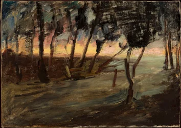 Evening - Marijno