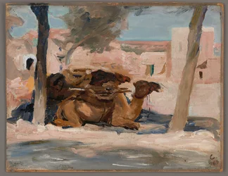 Camel. From a Journey to Palestine