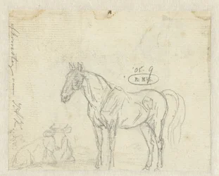 Sketch of a Horse and Cow