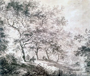 A Group of Trees at the Edge of Water